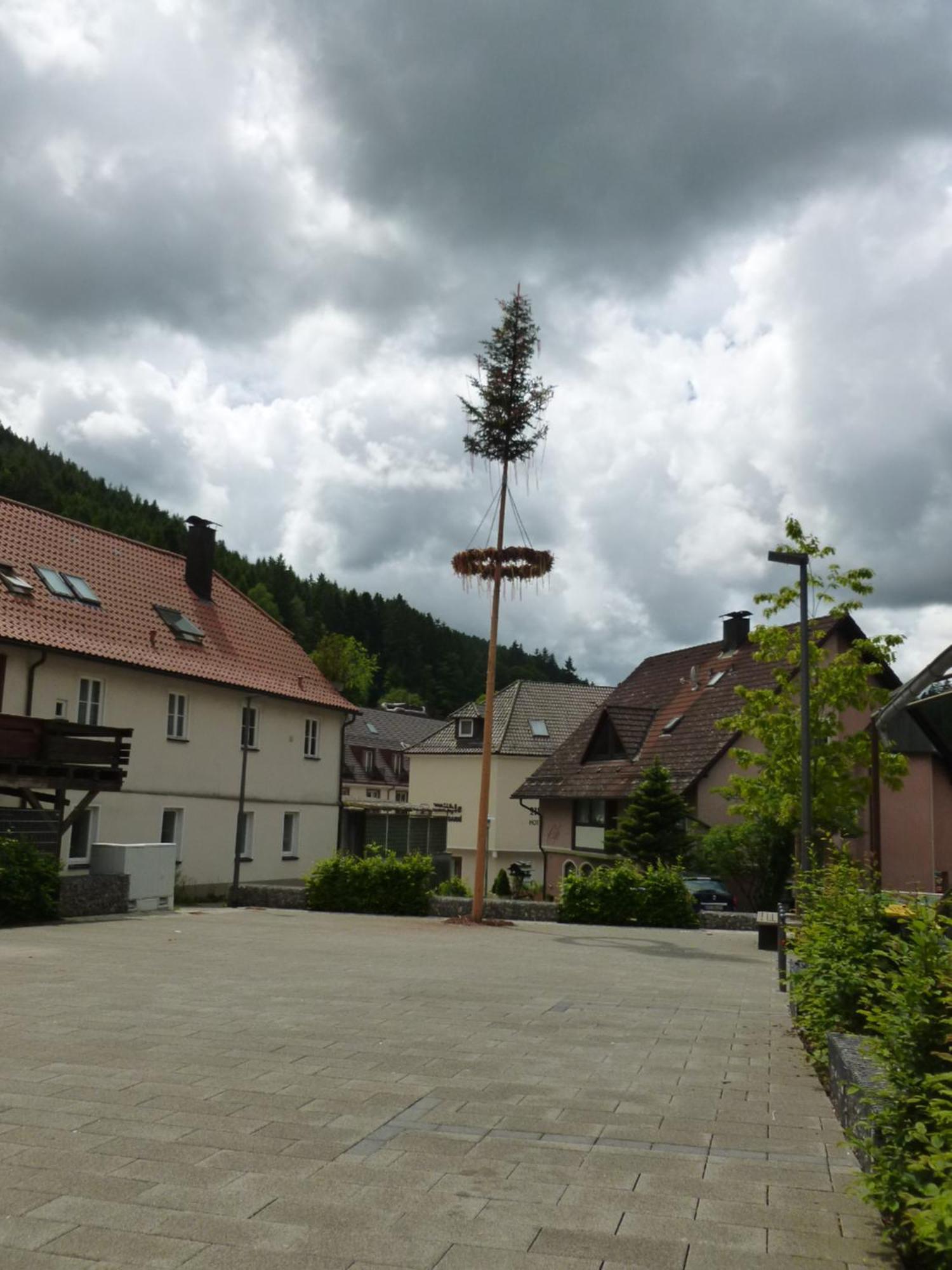 Gasthaus Waldhorn Hotel Bad Teinach-Zavelstein Exterior photo